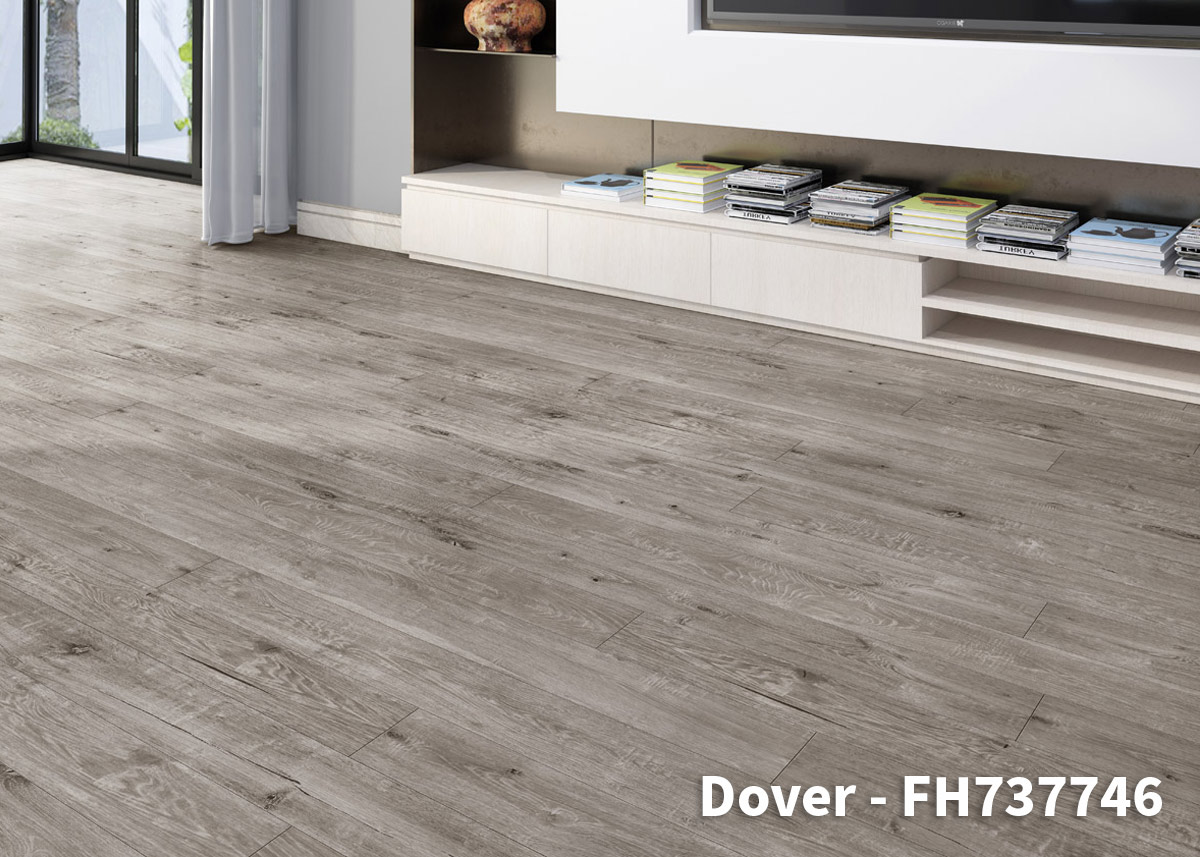 LL-Dover-FH737746-RS